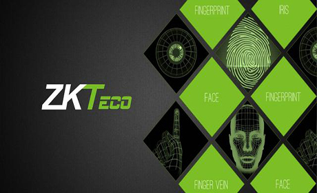 Системы Видеонаблюдения