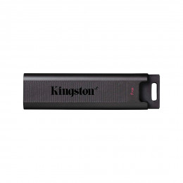 USB-накопитель Kingston DTMAX/1TB 1TB Черный USB-накопитель Kingston DTMAX/1TB 1TB Черный